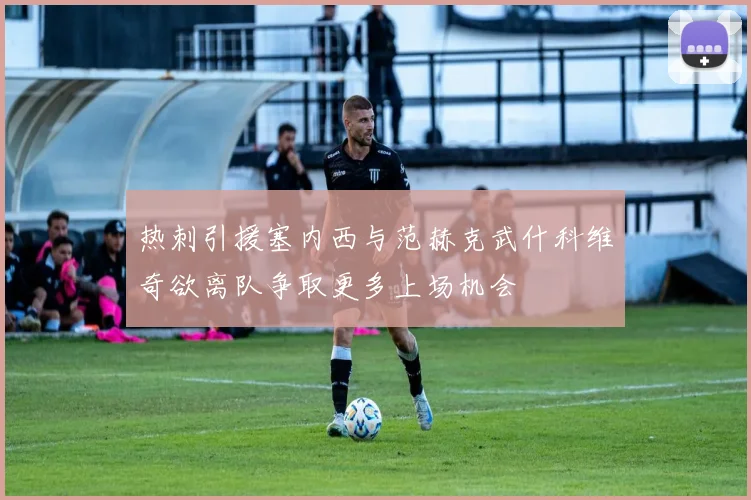 热刺引援塞内西与范赫克武什科维奇欲离队争取更多上场机会
