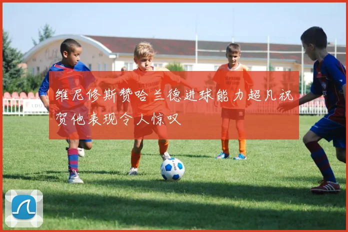 维尼修斯赞哈兰德进球能力超凡祝贺他表现令人惊叹