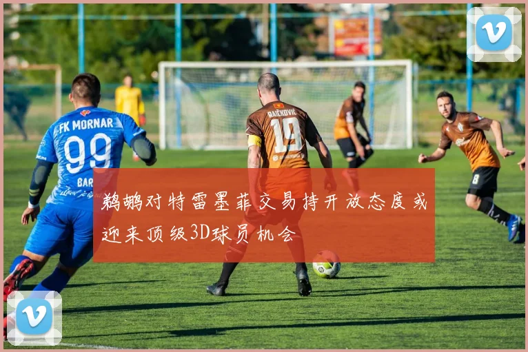 鹈鹕对特雷墨菲交易持开放态度或迎来顶级3D球员机会